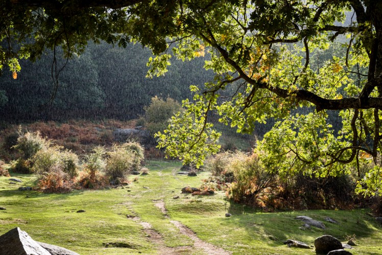 20121012-181539-Castañar-del-Tiemblo